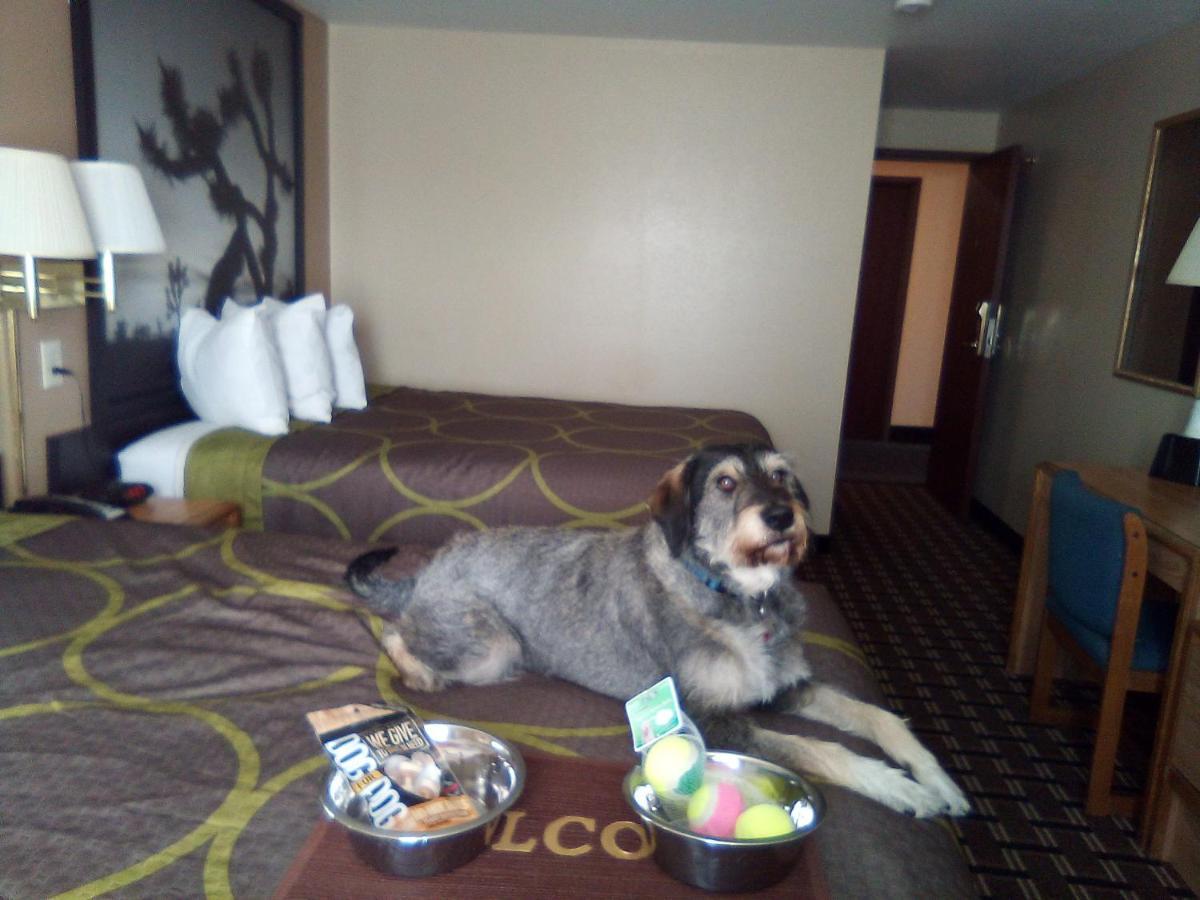 Super 8 By Wyndham Carson Tahoe 2*